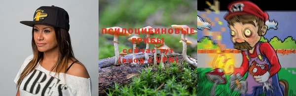 тгк Липки