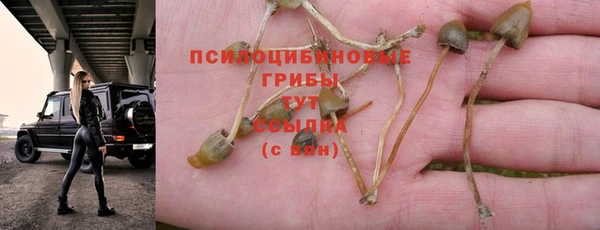 тгк Липки