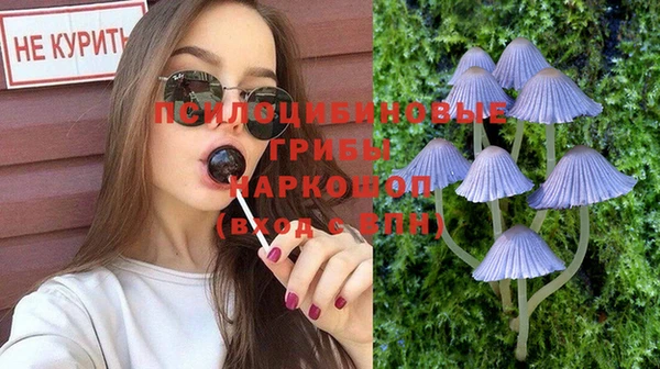 тгк Липки