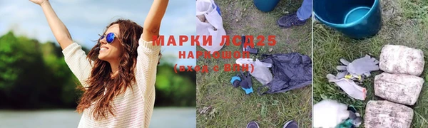 ГАЛЛЮЦИНОГЕННЫЕ ГРИБЫ Лихославль