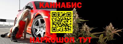 сатива Новокубанск