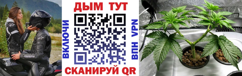 МАРИХУАНА конопля  купить наркотик  кракен tor  Петрозаводск 