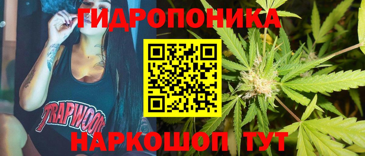 Каннабис планчик  Бошки марихуана White Widow  Вход с VPN  Петрозаводск  Шишки марихуана семена  Канабис гибрид 